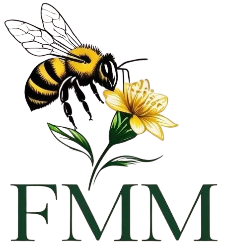 Logo FMM Consulting